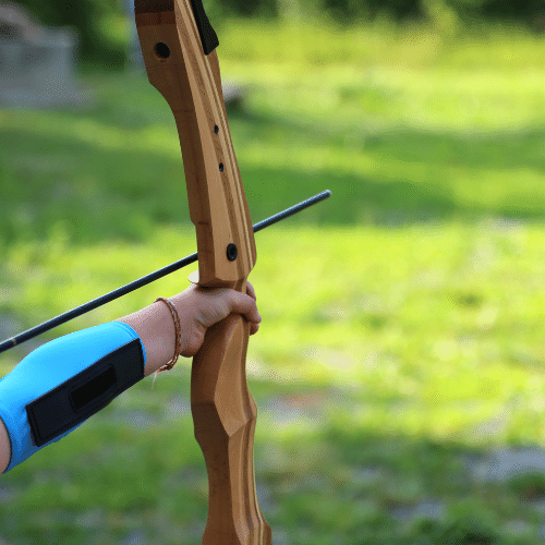 JUNXING F021 Beginner Bow Outdoor Hunting Recurve Bow - JUNXING F178 ...